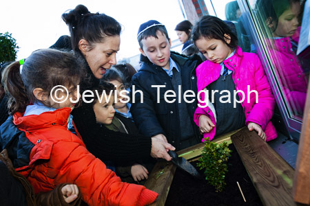 KD Tree planting (3)